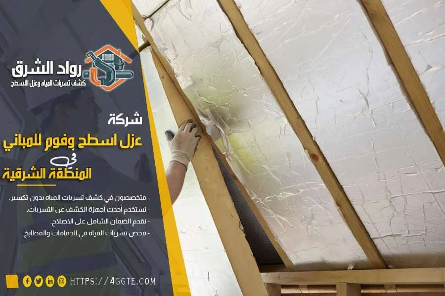 شركة عزل الاسطح براس تنورة