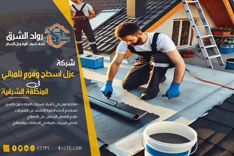 العزل الاقتصادي للاسطح