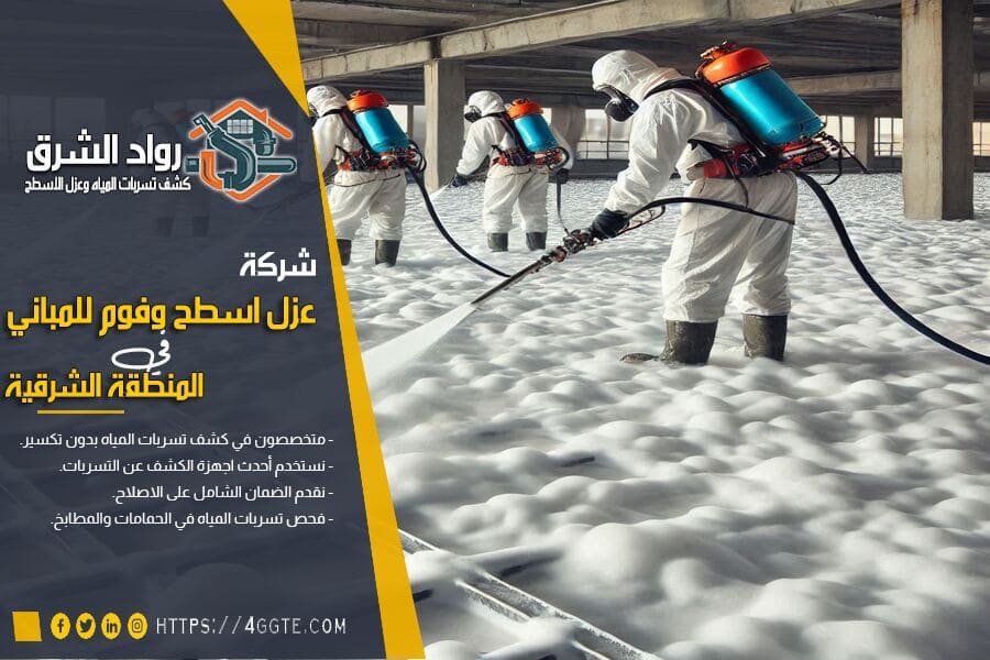كيفية اكتشاف مشاكل عزل الأسطح