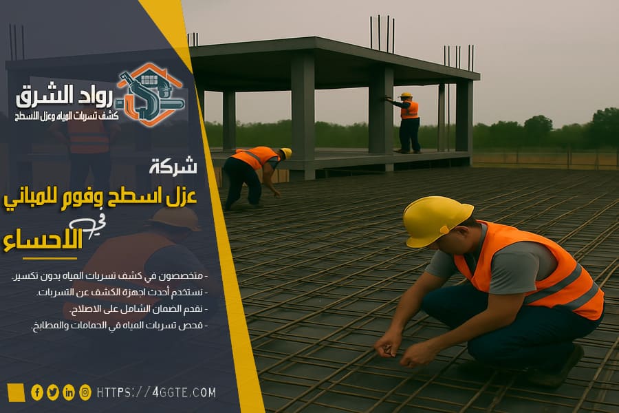 شركة انشاء هياكل سوداء بالاحساء