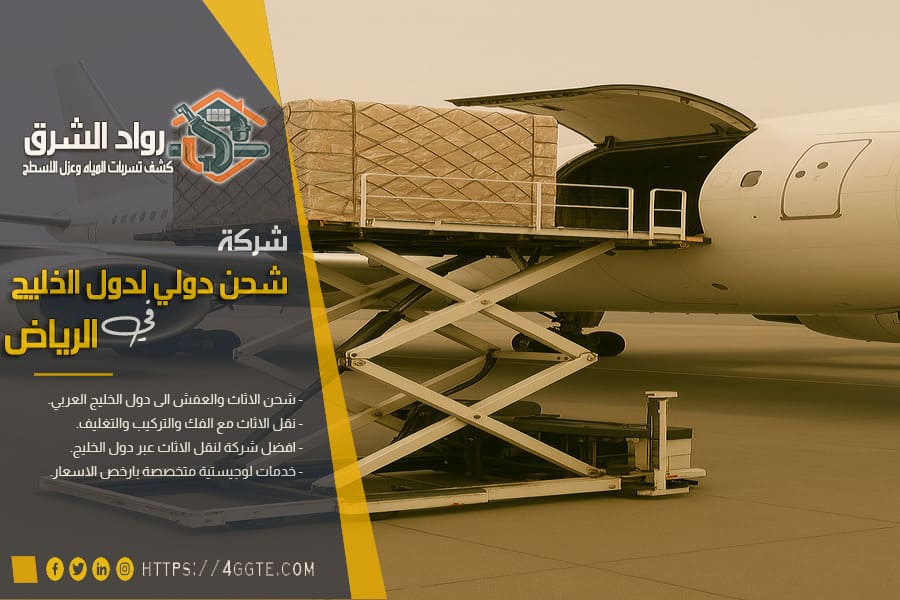 شركات النقل المحلية والشحن الدولي