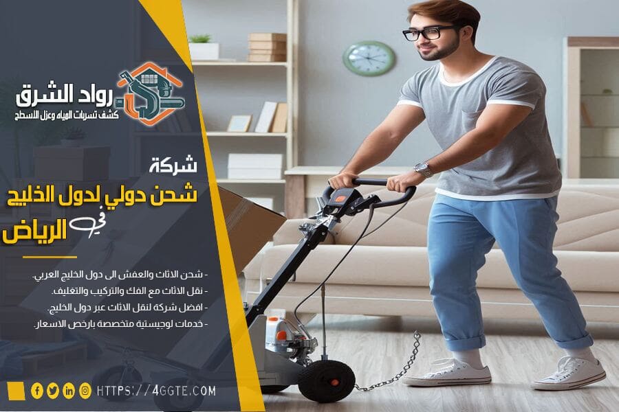 ما الفرق بين شركات النقل المحلية وشركات الشحن الدولي؟