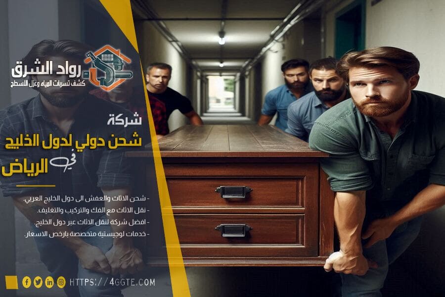 شركة شحن من الرياض الى مصر