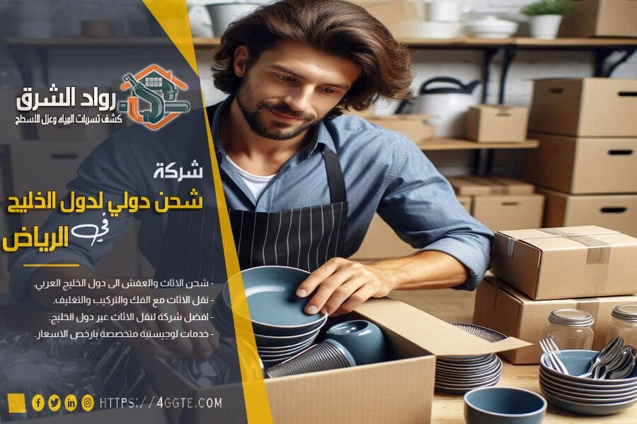 افضل شركة شحن سريع من الرياض لمصر 
